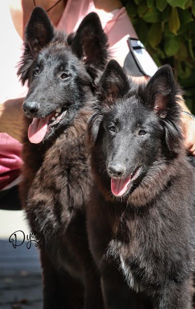 Xman y Xena, los dos hermanitos